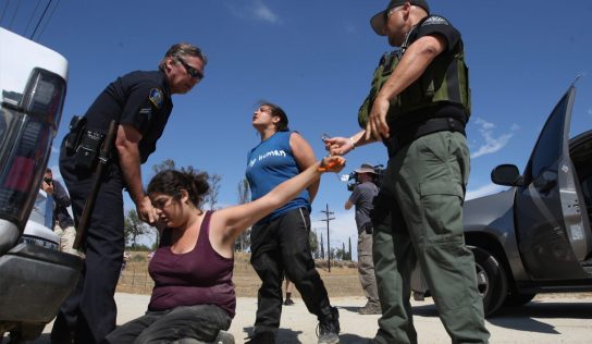 Arrests of Undocumented Immigrants Without Criminal Records Spikes 150%