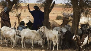 Mali: un maire “raciste” sera poursuivi