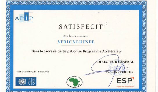 Entreprenariat : Africaguinee.com distinguée parmi les 20 meilleures entreprises en Guinée