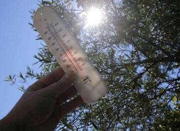 Canada : la canicule au Québec fait au moins 33 morts