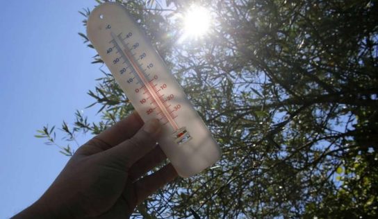 Canada : la canicule au Québec fait au moins 33 morts