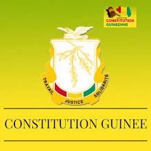 Modification constitutionnelle: Patrice Seny Camara <<accuse>> le CNT d’avoir fait un travail bâclé sur la constitution en 2010