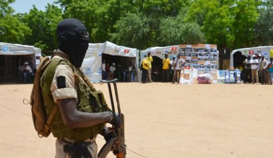 Ruée vers l’aide humanitaire : au moins 20 morts à Diffa au Niger