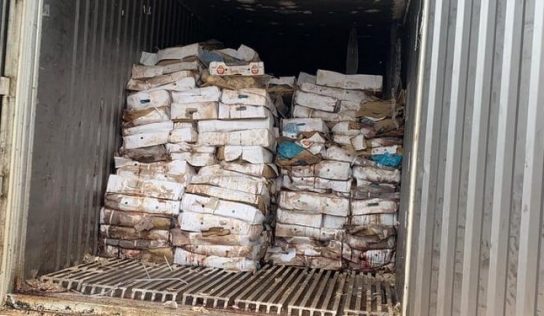 Enta : 25 conteneurs de poulets et viande pourris saisis par les services spéciaux de Tiègboro