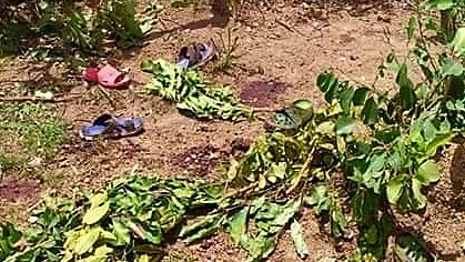Explosion de grenade à Labé : un militaire à la retraite inculpé