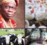 L’ancien président nigérian Olusegun Obasanjo convoite le marché agricole guinéen