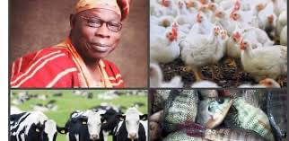 L’ancien président nigérian Olusegun Obasanjo convoite le marché agricole guinéen