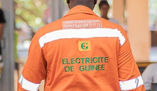 Délestage du courant électrique : le Directeur Général de l’EDG serait-il victime de ses réformes ?