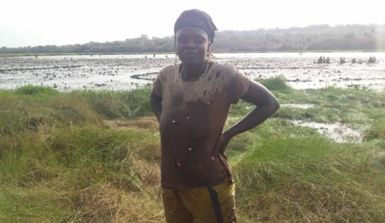 La pêche annuelle de Dapperéré : Une période d’échange de culture landouma