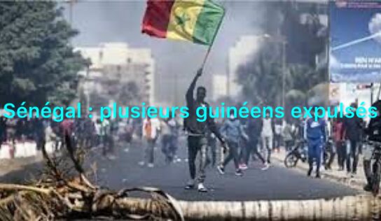 Sénégal : plusieurs guinéens expulsés du territoire sénégalais 