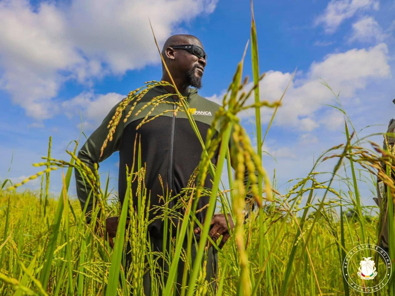 Agriculture : le budget est passé de 600 milliards à 1 900 milliards GNF