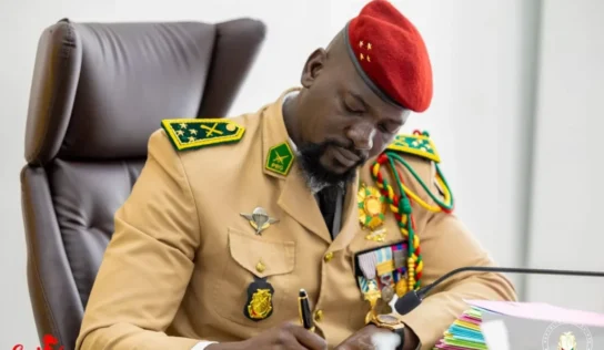 Décret : création, gestion et conservation d’un numéro personnel d’identification (NPI) en République de Guinée