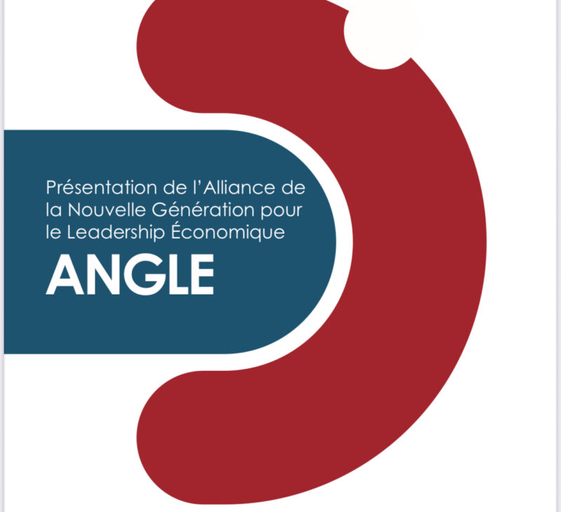 Guinée : vers une suspension imminente de l’UFDG, une manœuvre politique en préparation